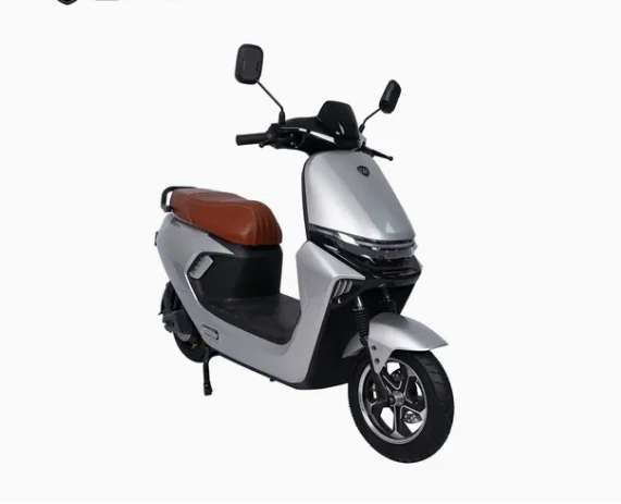 High Electric Motorcycle 1000W 60V/72V Motorcycle With Hydraulic Shock Absorbe best